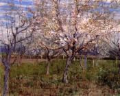 果园中盛开的杏树 - 文森特·威廉·梵高